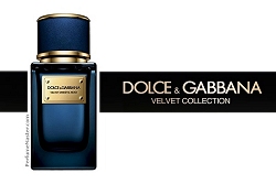 Dolce & Gabbana Velvet Oriental Musk New Fragrance Dolce & Gabbana Velvet Oriental Musk New Fragrance